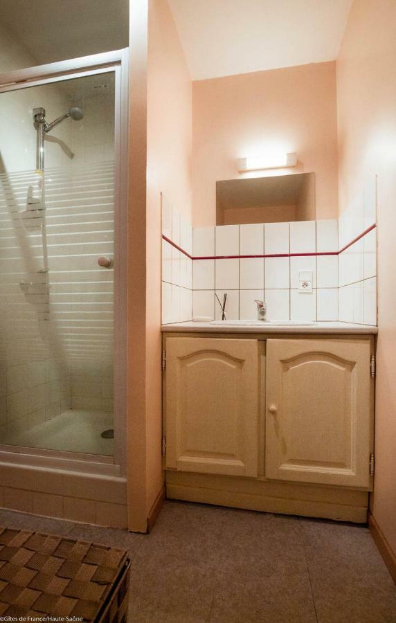 Gite La Saonoise Villa Conflandey Bagian luar foto